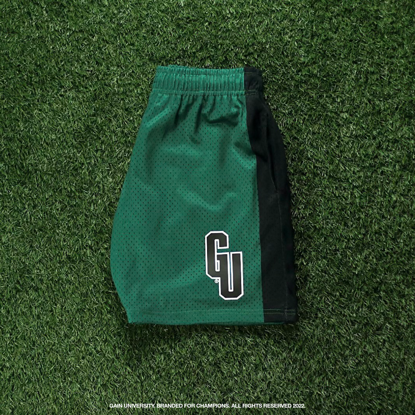 V1 Mesh Shorts